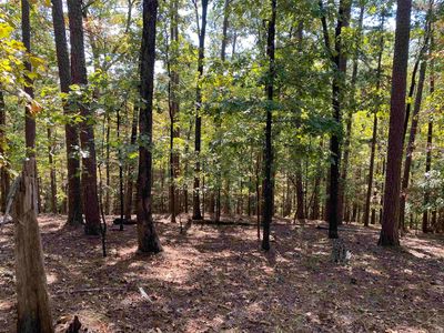 21 Southridge Dr, Mount Ida, AR, 71957