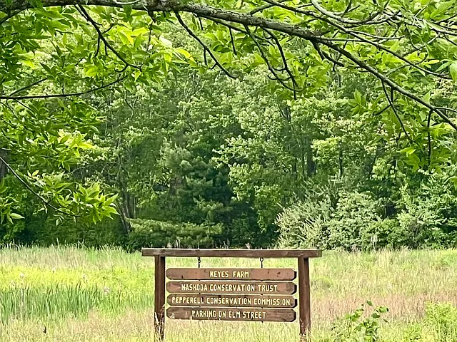 Many Hiking Options