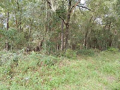 6162 E Menlo Ln SE, Inverness, FL, 34452