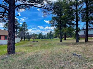 157 Caddy Cir, Pagosa Springs, CO 81147