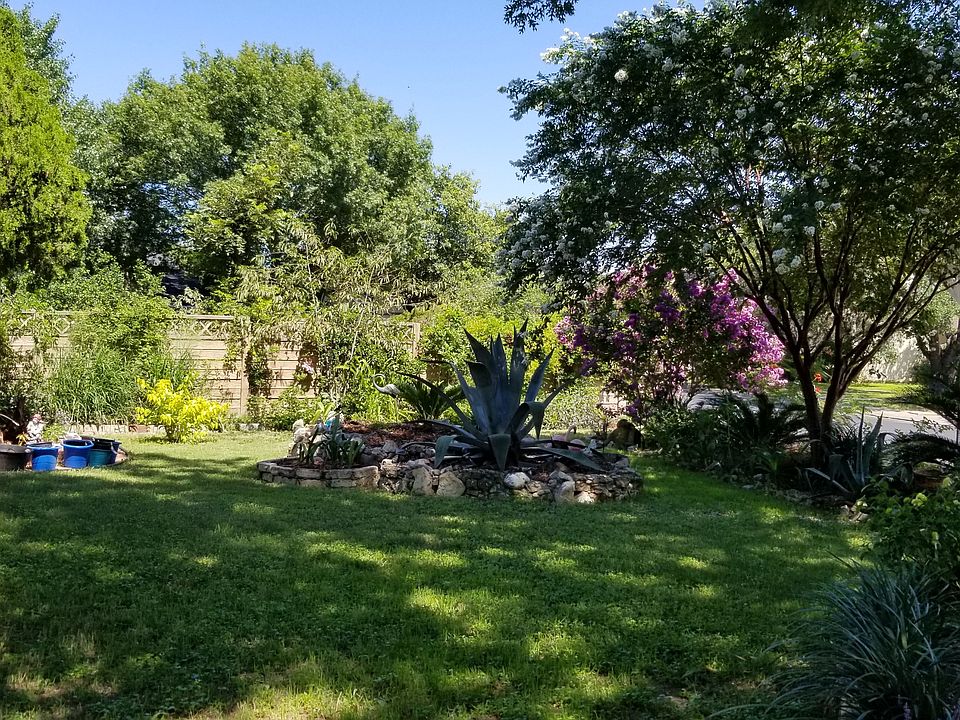 Front yard right after mow