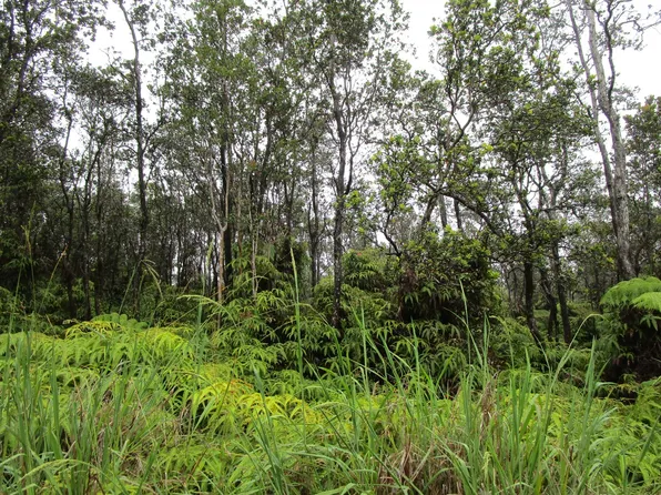 Anuhea St Lot 31, Volcano, HI 96785