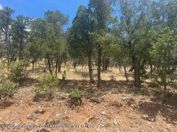 3 Stable Rd, Alto, NM 88312