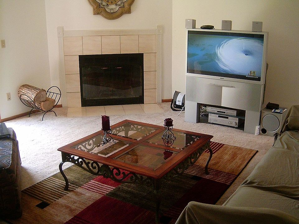 Wood burning fireplace