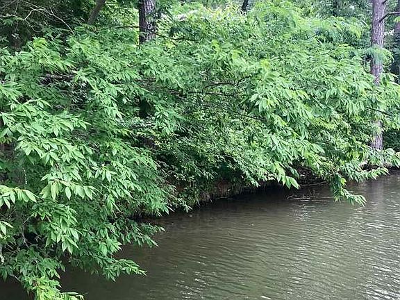 3rd image of Kirschwood Dr