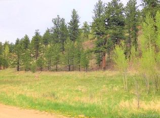 208 Gross Rd, Bailey, CO 80421