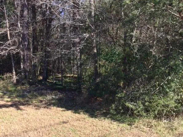 0 Gant Rd Lot 172, Graham, NC 27253