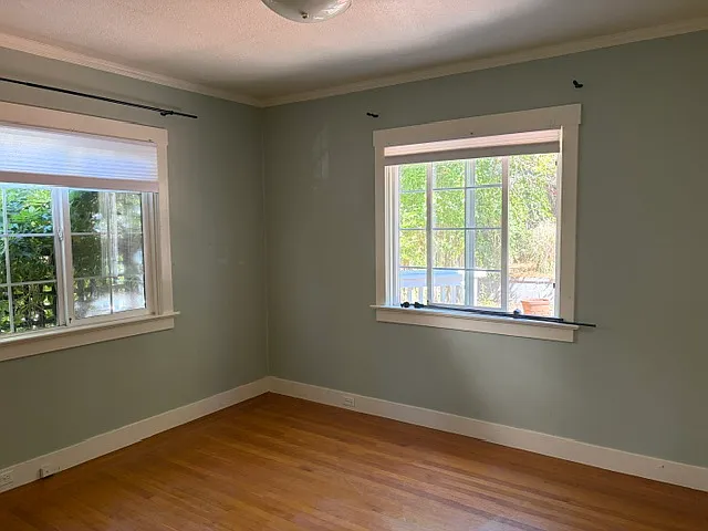 Downstairs bedroom