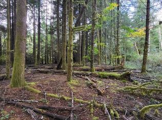 State Route 401, Naselle, WA 98638