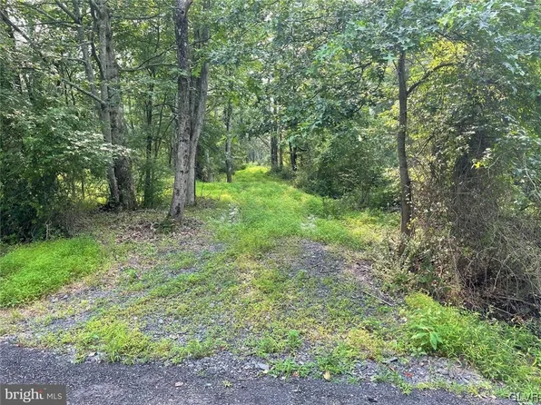 0 Mine Spring Rd, Upper Black Eddy, PA 18972