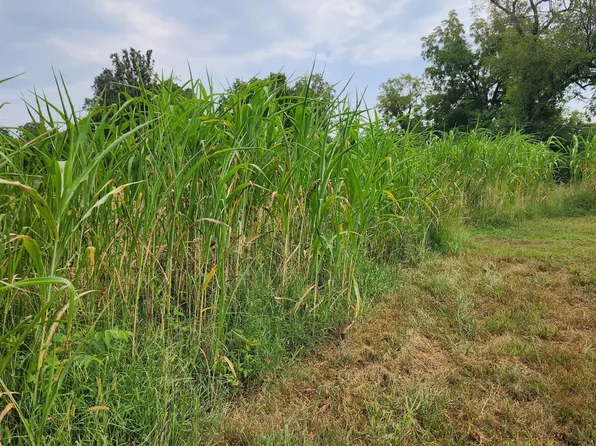 Rail Holw, Theodosia, MO 65761