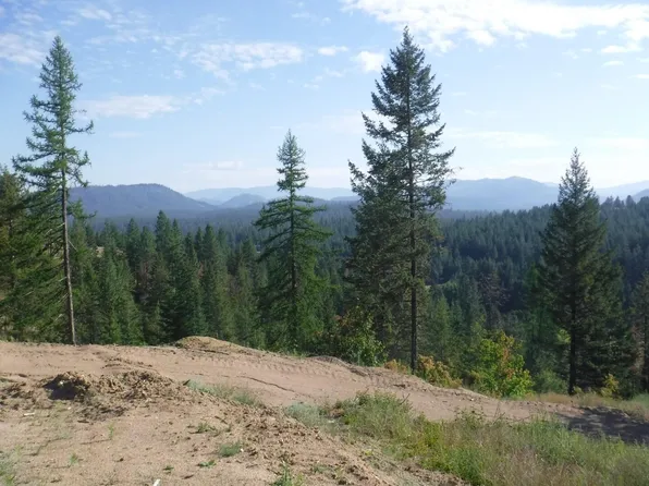2 Moose Ridge Way, Loon Lake, WA 99148