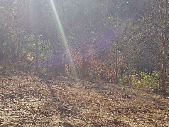 3rd image of 807 Clay Lick Ct
