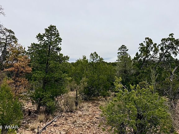 4th image of 4918 Sunset Ridge Loop