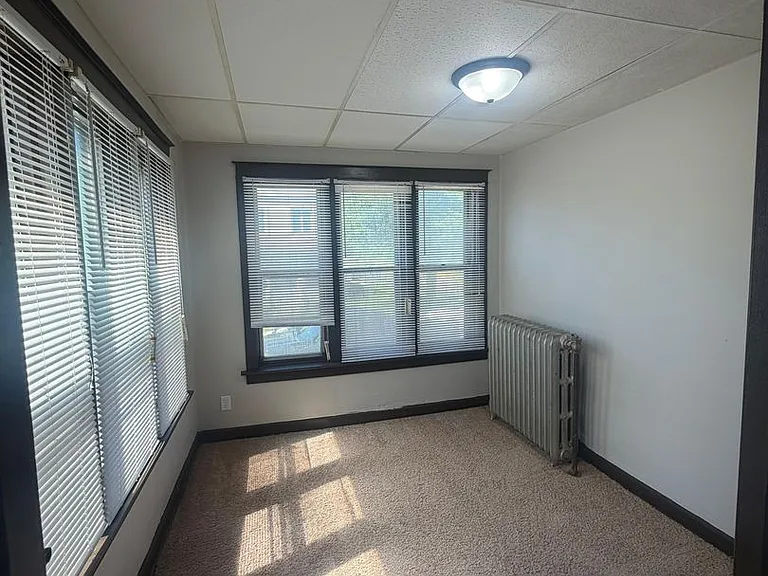 258 Carroll St — Photo 18