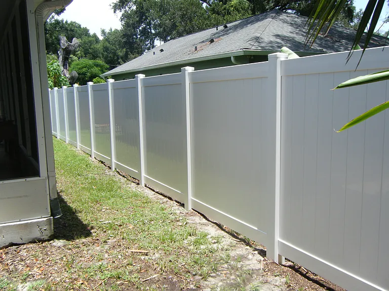 Backyard Fence