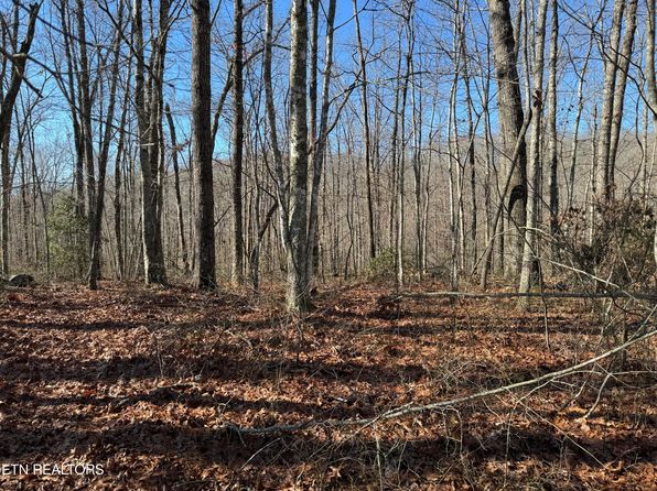 E Cove Rd #4, Monterey, TN 38574