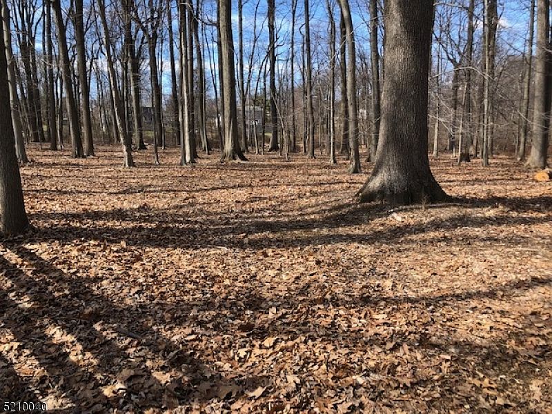 2nd image of 0 apgar