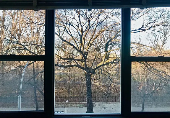 Rented by Zjama Realty Corp | media 3