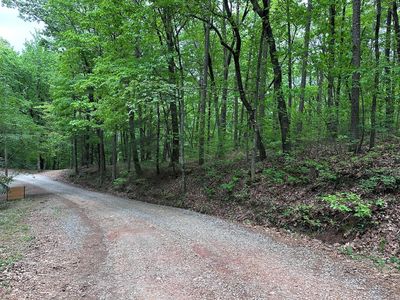 Tr1tr3 Flat Branch Trl, Ellijay, GA, 30540