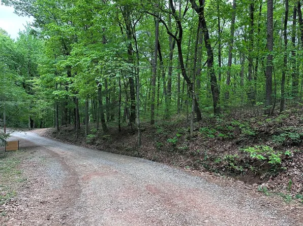 Tr1tr3 Flat Branch Trl, Ellijay, GA 30540