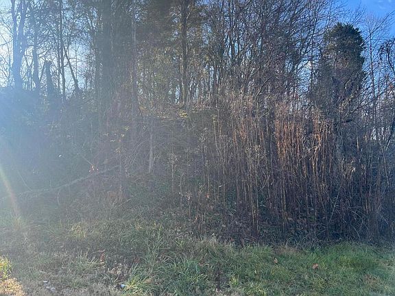 3rd image of LOT 10 White St