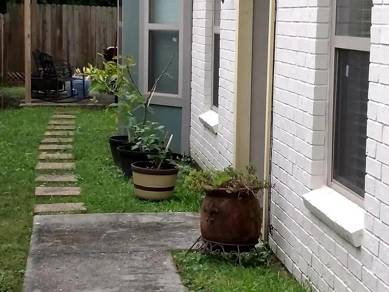 109 Cane Field St — Photo 8
