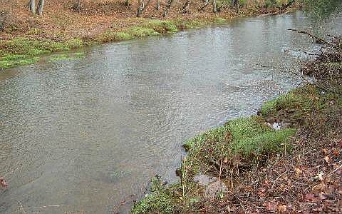 1st image of LOT 3 McGlamery Farms