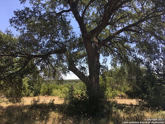 4th image of 558 Cross Oak