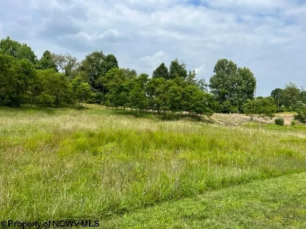 46 Heavner Grove Rd, Buckhannon, WV 26201