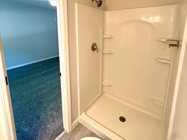 Master Bath Shower