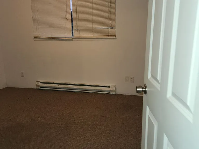 937 Nandina St — Photo 10