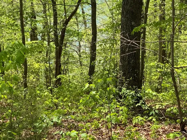 LOT 115 Faix Rd, Byrdstown, TN 38549