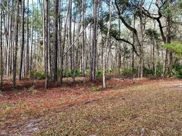 SE 68th Ter Lot 32, White Springs, FL 32096