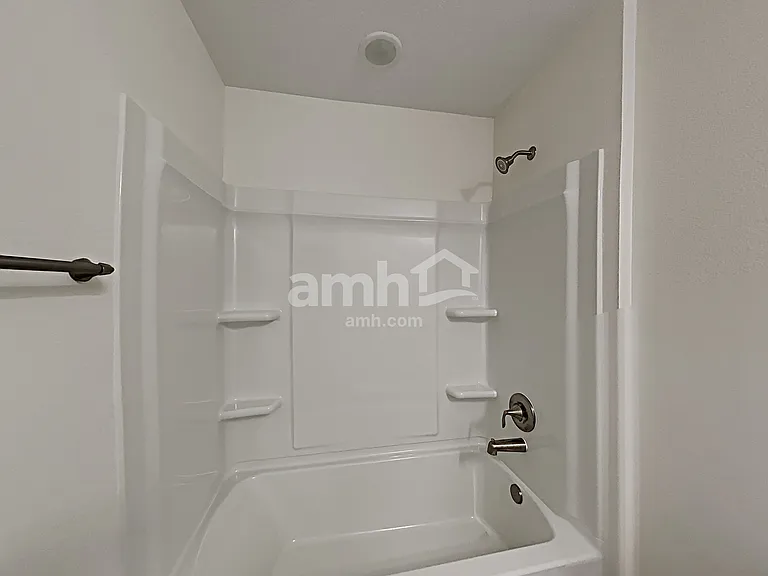 1397 Celery Palm Cv — Photo 23