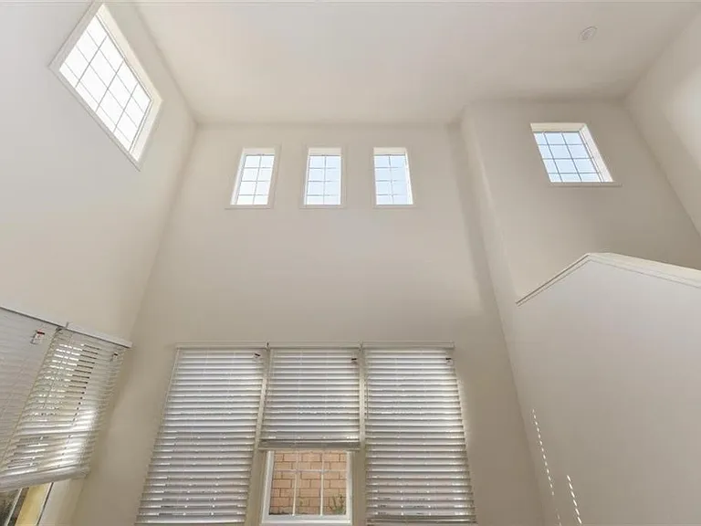 16 Torosa — Photo 18
