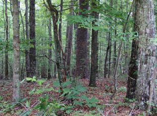 Highland Hammock Dr, Blue Ridge, GA 30513