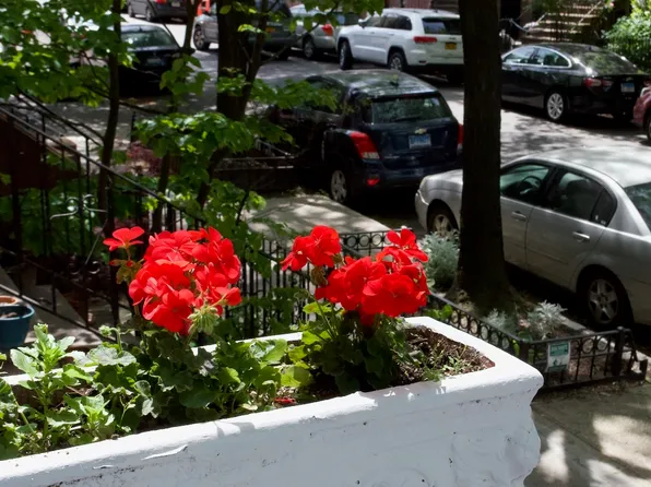 49 Saint Marks Avenue image 2 of 21