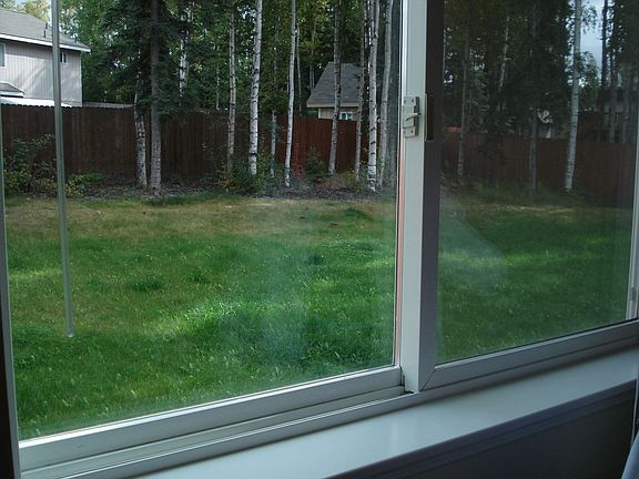 Backyard2