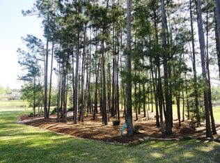 12234 Leafy Oak Way, Magnolia, TX 77354