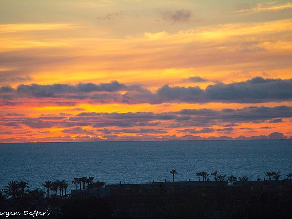 enjoy the calm ocean sunsets