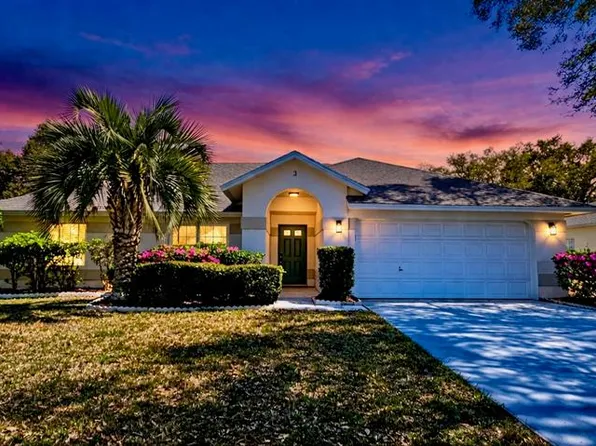 3 Saw Mill Ct, Palm Coast, FL 32164