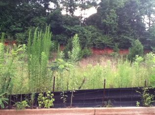 3 E Broad Ct, Newnan, GA 30263