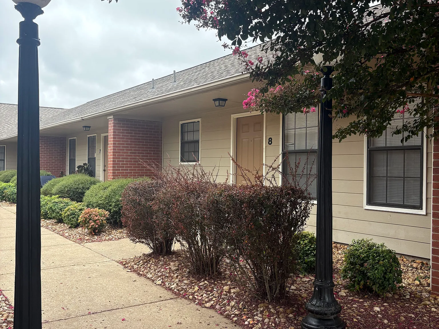 1 bed, $750 — Photo 2