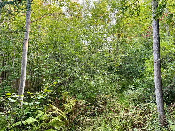 0 N Riggsville Rd, Cheboygan, MI 49721