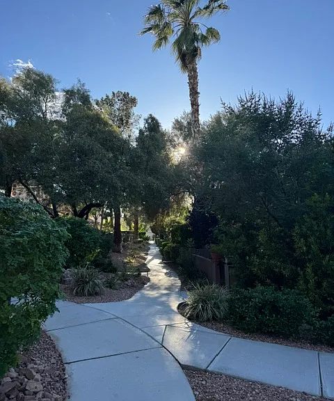 10004 Camino Loma Verde Ave — Photo 33