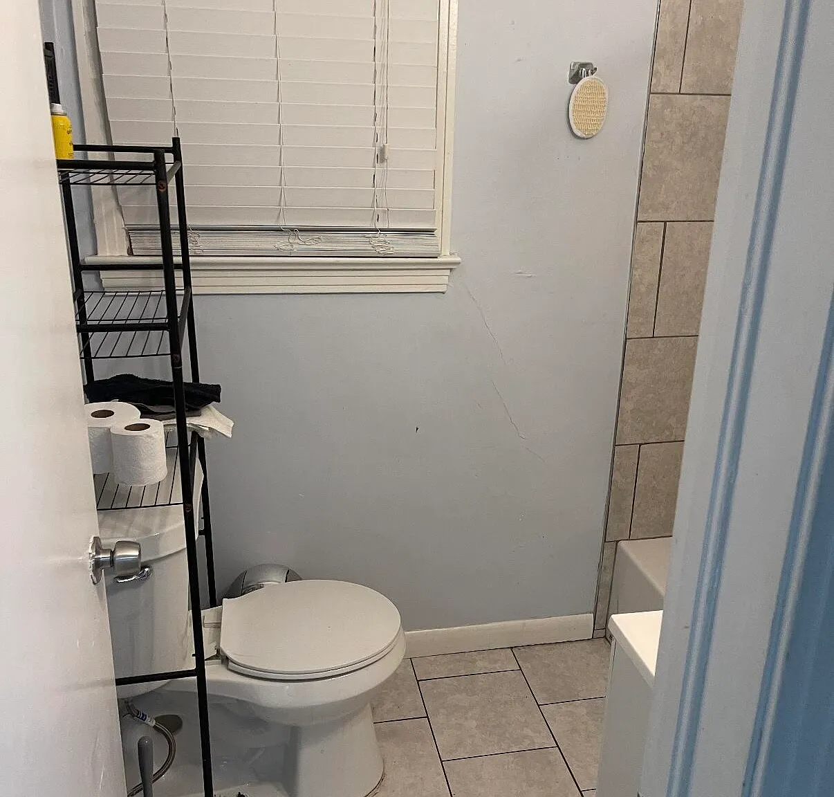 3 bed, 1.0 bath, 875 sqft, $1,500 — Photo 2
