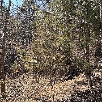4th image of 12400 E Tecumseh Rd