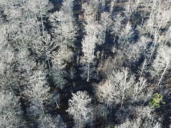 (undisclosed Address), Holly Grove, AR 72069