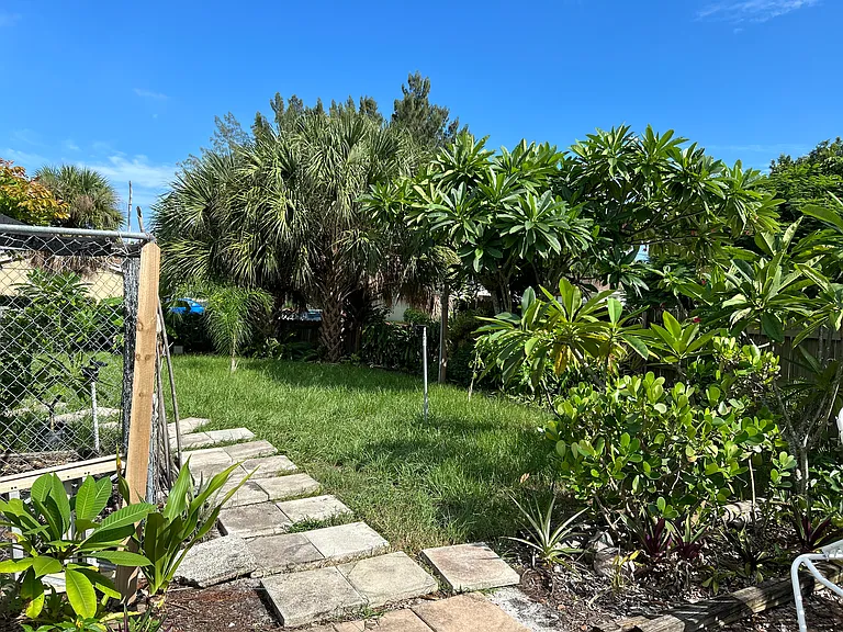 backyard tropical plants